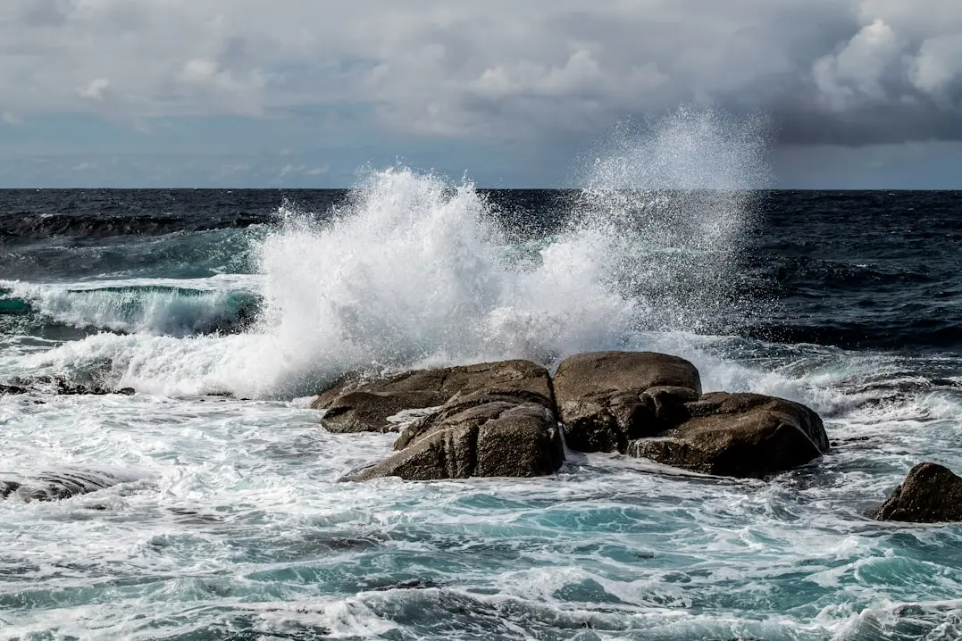 Immagine simbolo (Unsplash)