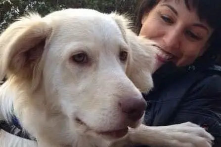 L'assessore comunale di Settimo Elisabetta Milia con un cane adottato (foto Antonio Serreli)