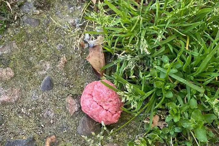 Un boccone avvelenato (Archicio L'Unione Sarda)