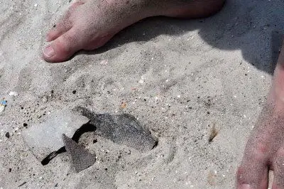 Poetto, frammenti di amianto - foto Ungari