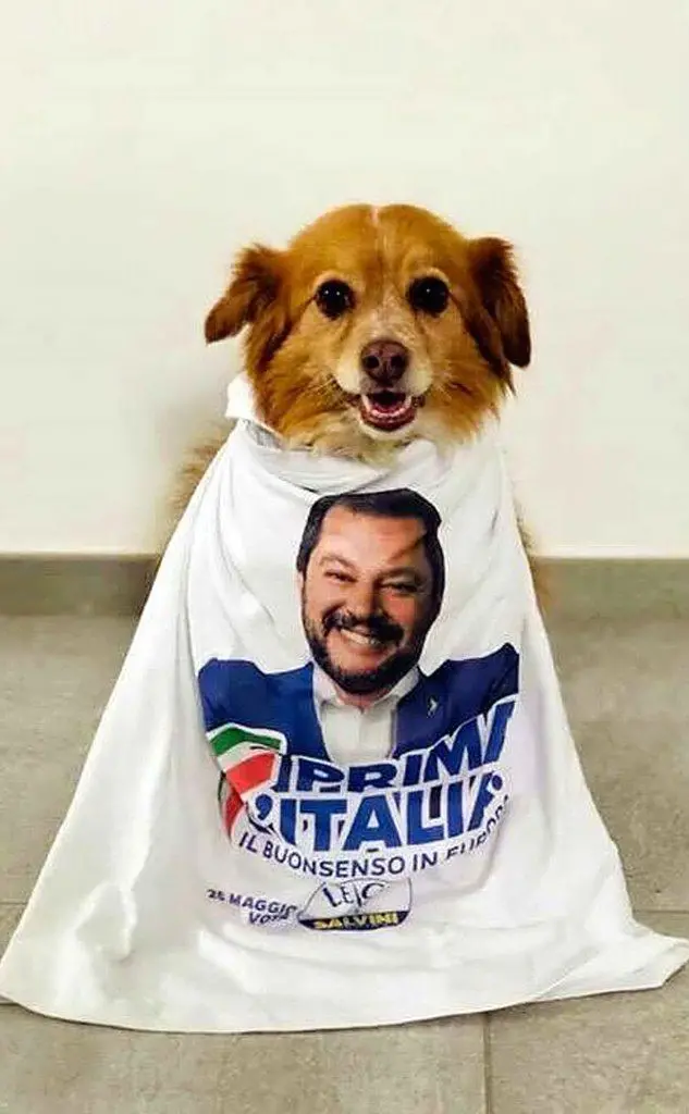 Salvini posta la foto del cane con la maglietta della Lega (Ansa)