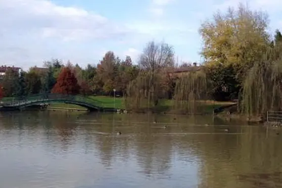 Il laghetto del parco di Castelnuovo Rangone (Modena)