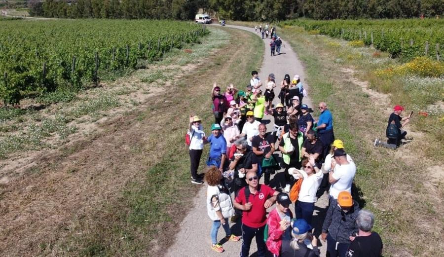 Ambiente e solidarietà, a Serdiana una passeggiata ecologica tra vigneti e ulivi secolari