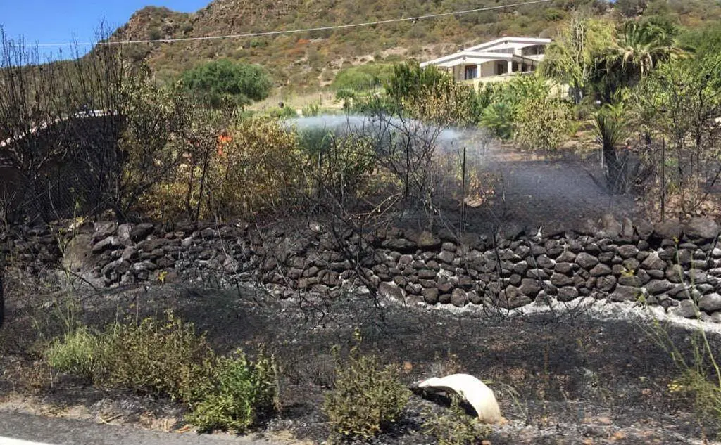 L'area interessata dall'incendio
