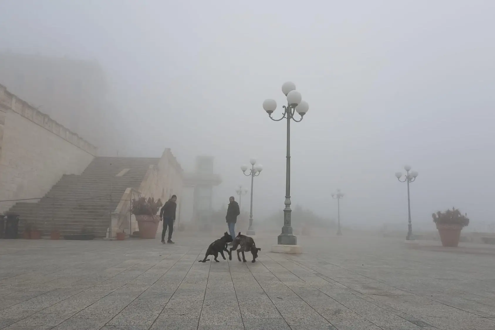 Dal bastione al porto, la città è stata avvolta in un sottile manto bianco