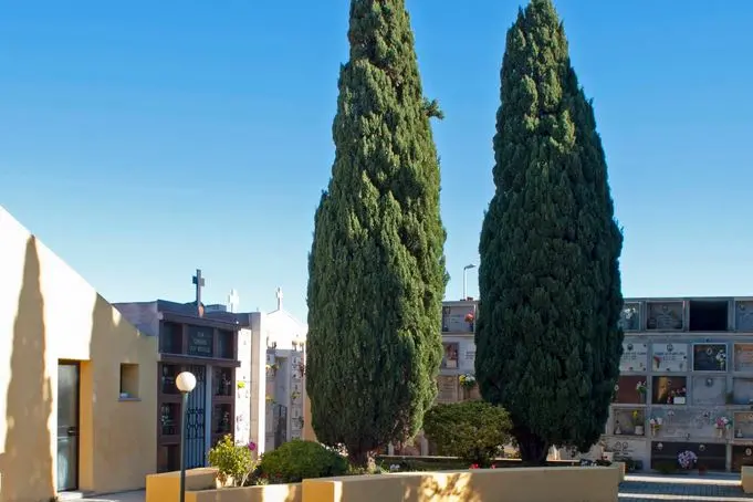 Palau, cimitero (foto Ronchi)