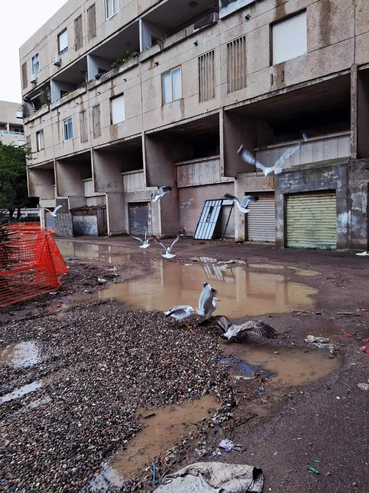 contentid/c958964c-d61f-4b6f-99b1-de1c63b59f80