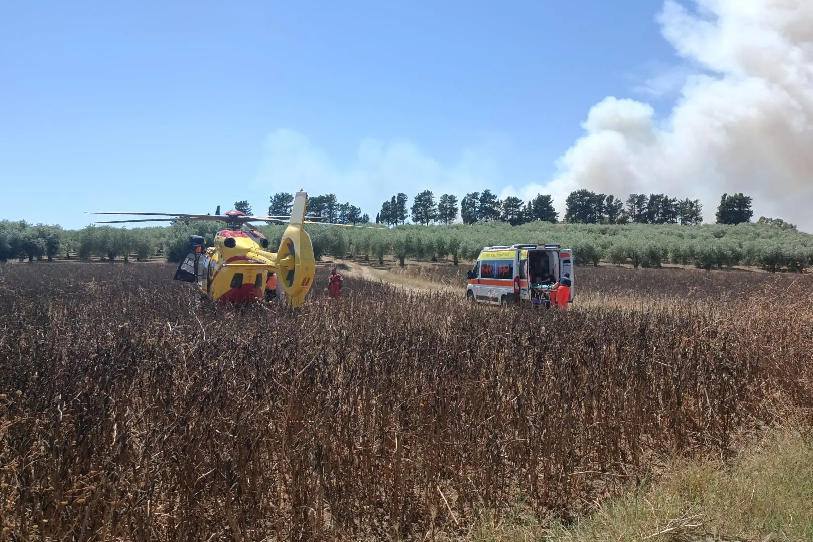 L'elisoccorso intervenuto per soccorrere l'anziano ustionato (foto Pillosu)