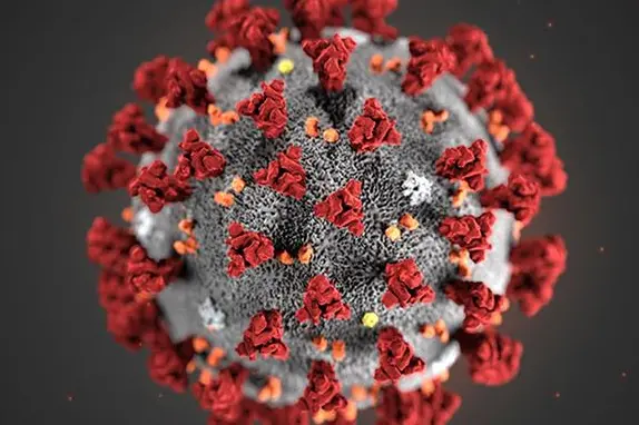 La struttura del coronavirus (foto Ansa)