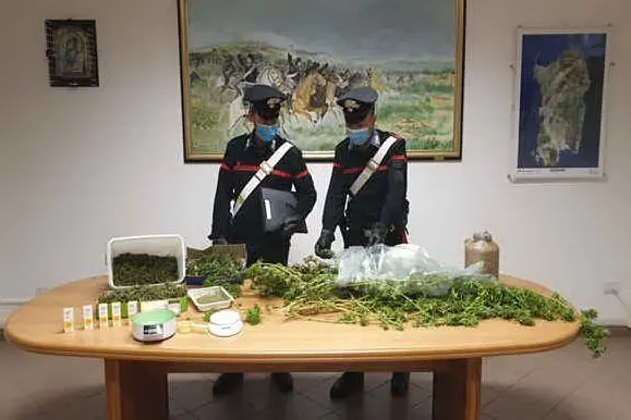La marijuana sequestrata (Foto carabinieri)