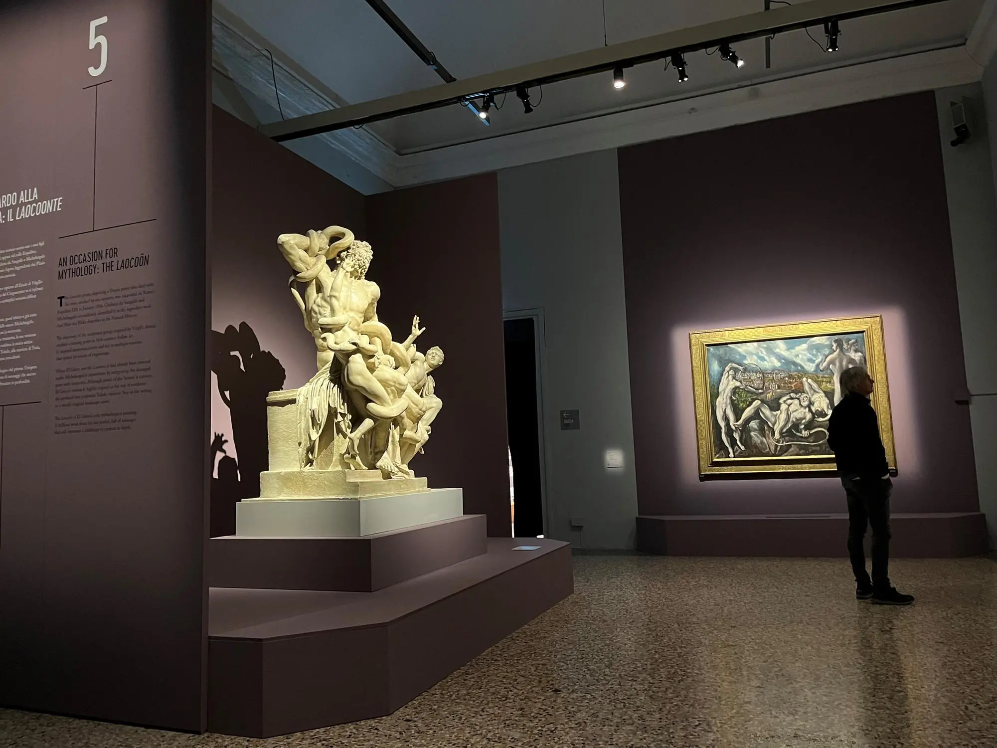 Il Laocoonte. Foto Mocci