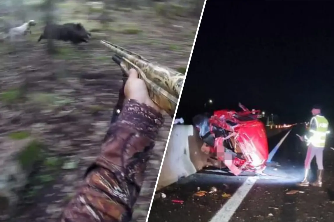 Polemica sulla caccia per ridurre i cinghiali in Sardegna