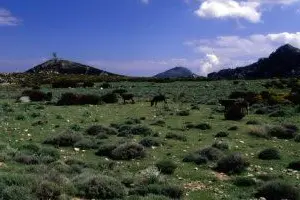 Uno scorcio di ''Gorroppu''