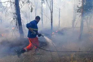 Un Vigile del fuoco impegnato nella spegnimento dell'incendio scoppiato a Vallermosa