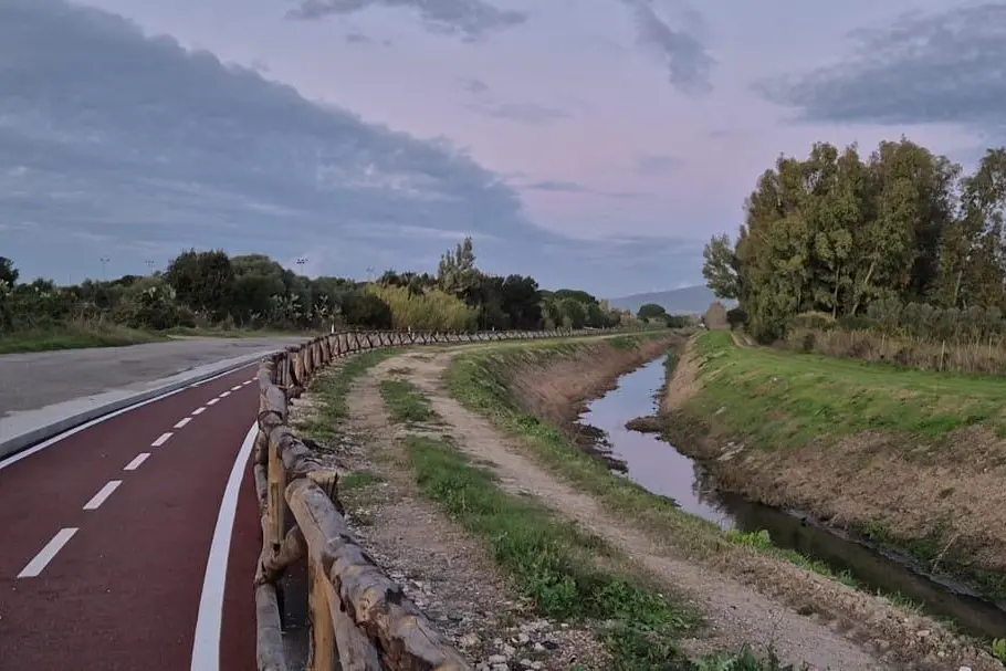 Un canale a Terralba (foto Sara Pinna)