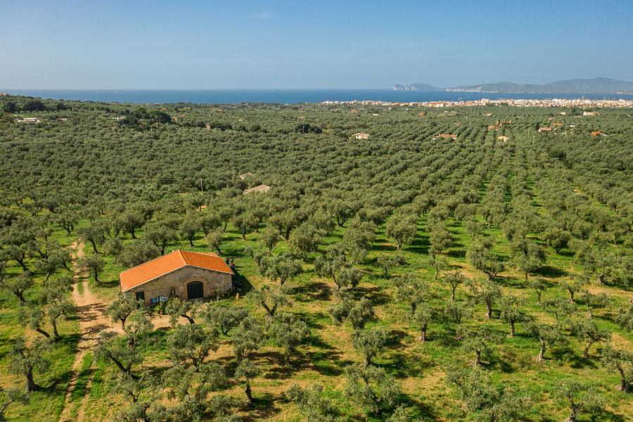 Accademia Olearia di Alghero, 