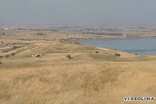 Un fermo immagine tratto dal servizio del Tg di Videolina.