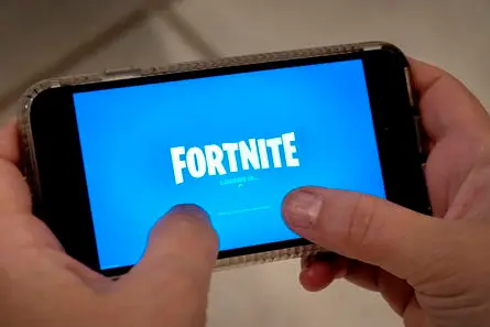 Fortnite (Ansa)