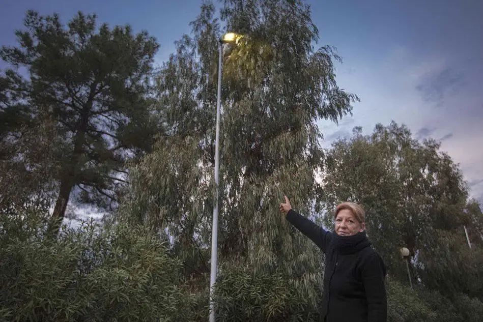 Un lampione coperto dagli alberi in via Tirso