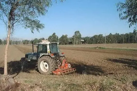 Un terreno