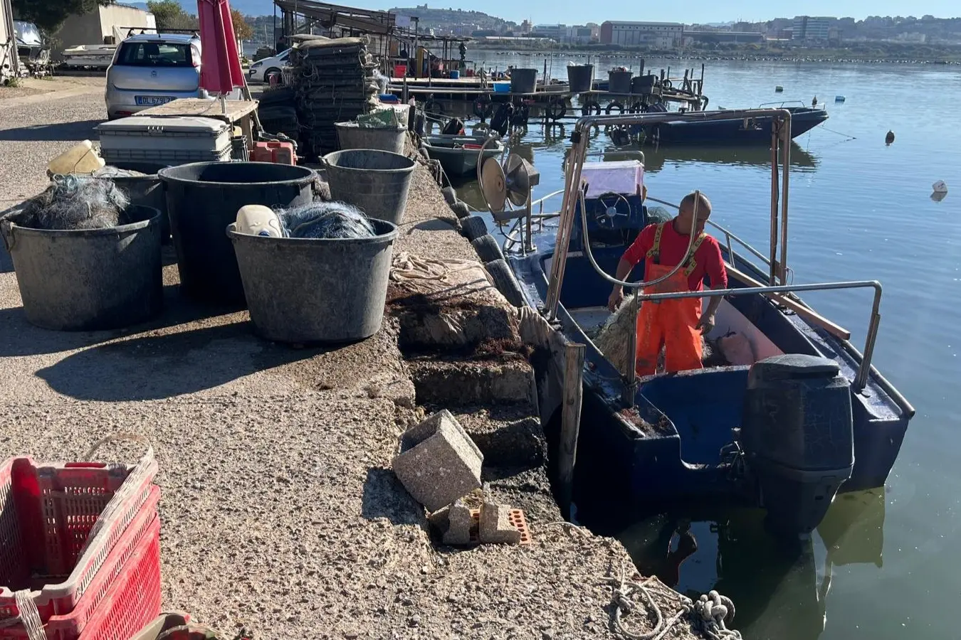 Cagliari, crolla la salinità della laguna: strage di cozze e ostriche a Santa Gilla
