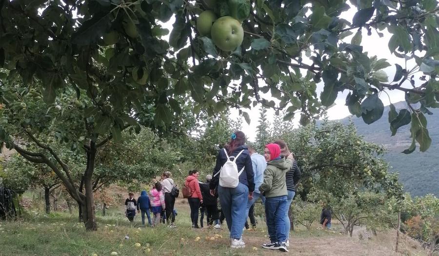 Bimbi nel meleto a lezione di biodiversità