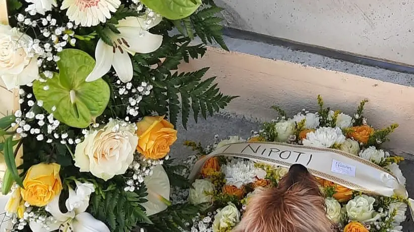 https://immagini.unionesarda.it/version/c:NWY4ZmJhZDYtZTJiNC00:ZDY3NzYwZGQtZjEzNi00/image.webp?f=16:9
