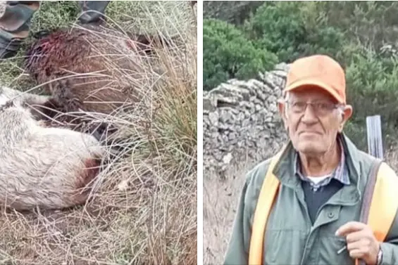 Pietro Depalmas e i cinghiali catturati