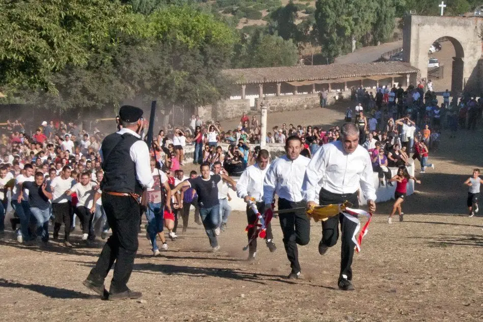 L'edizione 2012 dell'Ardia