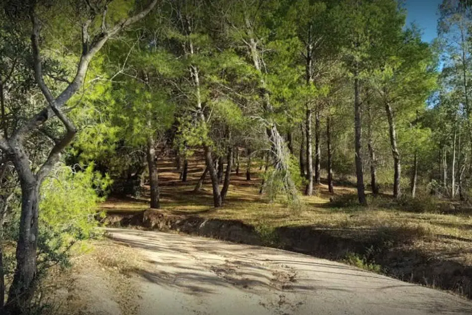 L'interno del parco