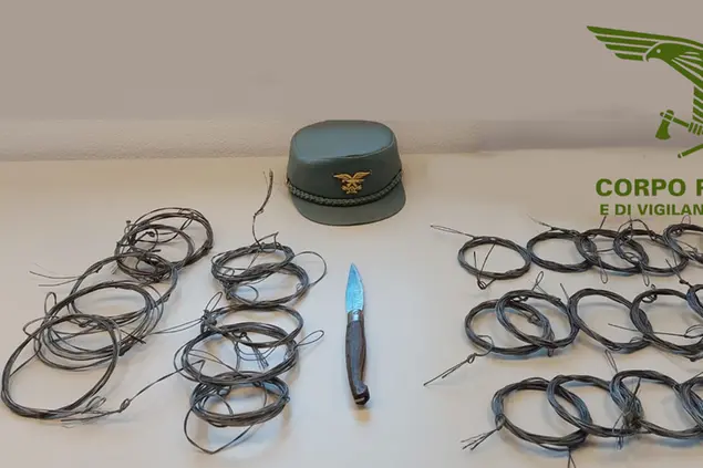 I cavetti e il coltello recuperati dal Corpo forestale