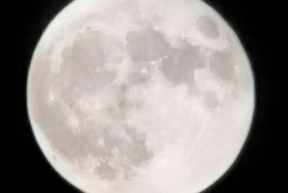 Luna (foto L'Unione Sarda)