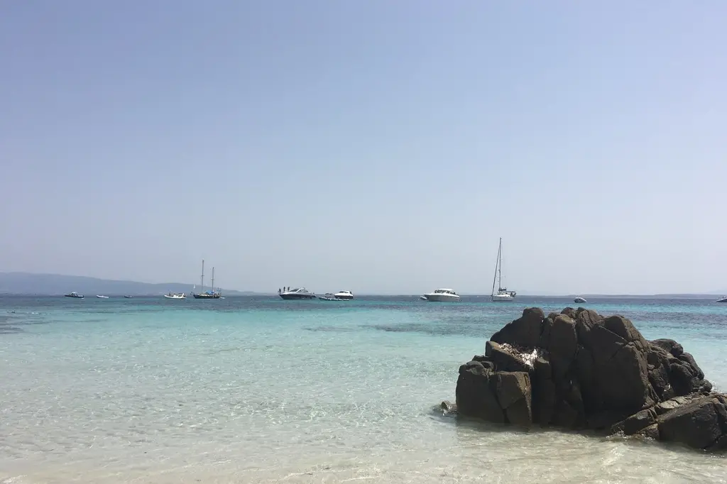Mal di Ventre (foto Sara Pinna)
