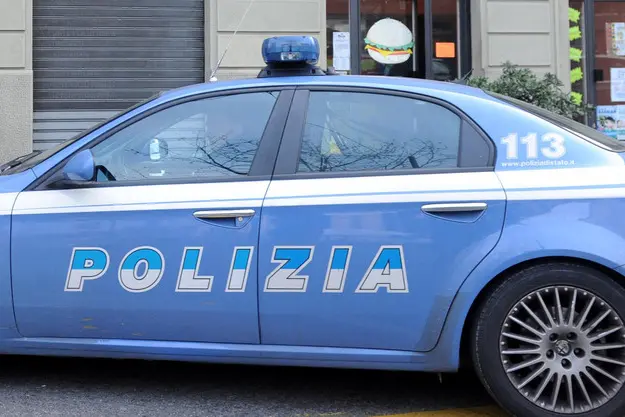 Ein Polizeiauto (Ansa)