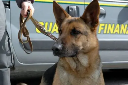 Guardia di Finanza (foto Ansa)