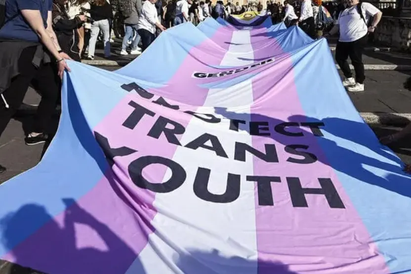 La bandiera della comunità trans (Ansa)