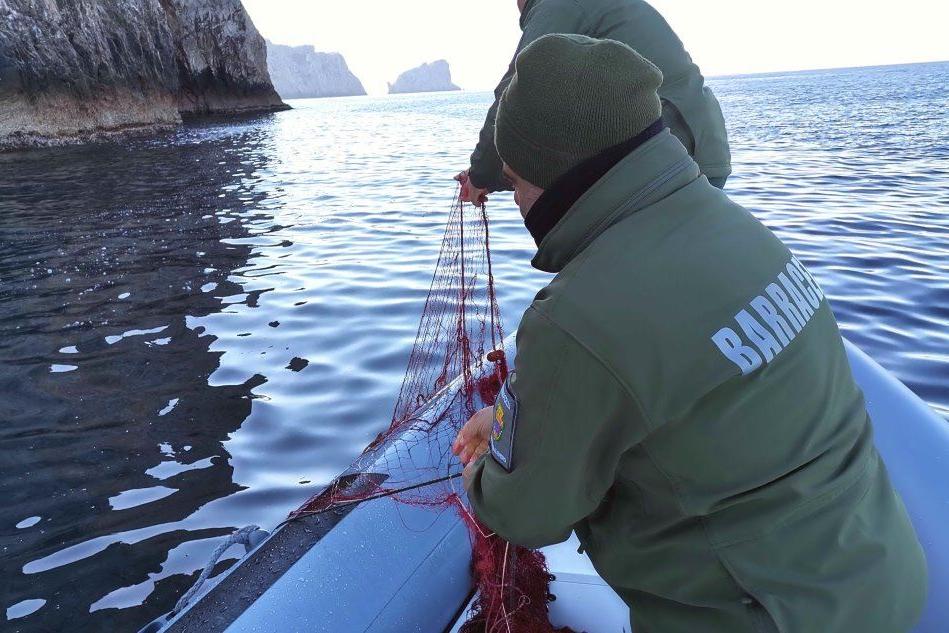 I barracelli sequestrano 500 metri di rete da pesca nell'area marina di Capo Caccia