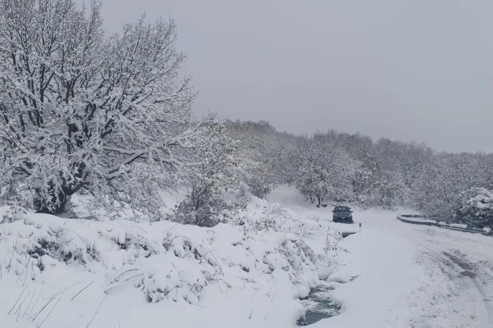 Nevicata nel Nuorese (foto Ansa)