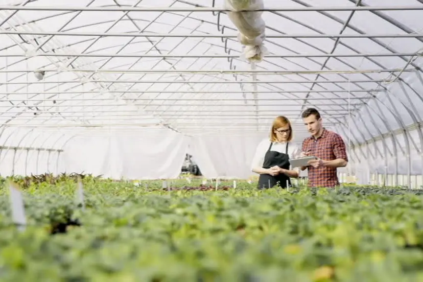 Crescono startup italiane AgriFoodTech, investimenti +18% in 2025