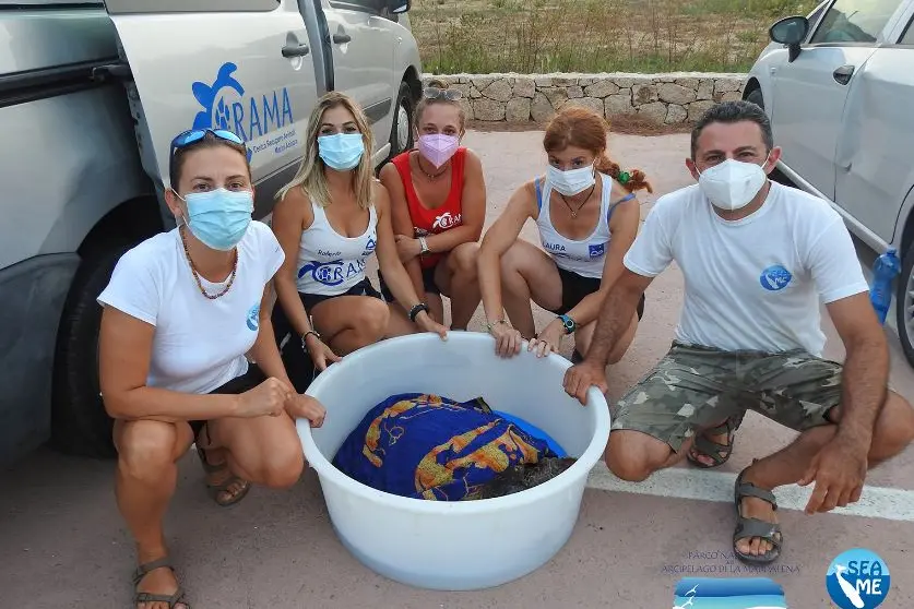 Gli operatori del Crama con la tartaruga salvata (Foto Sea Me Sardinia)