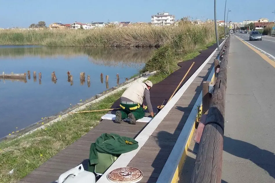 Lavori in corso sul Lungosaline