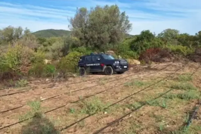 L'intervento dei carabinieri