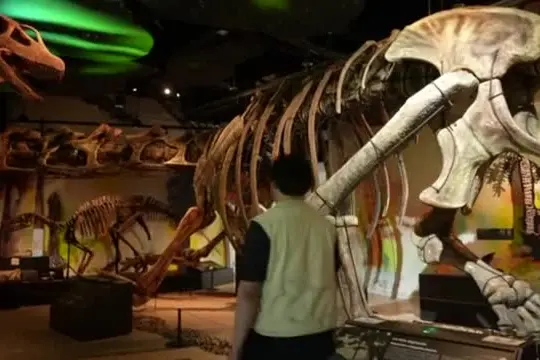 Thailandia, il dinosauro gigante pesa come nove elefanti