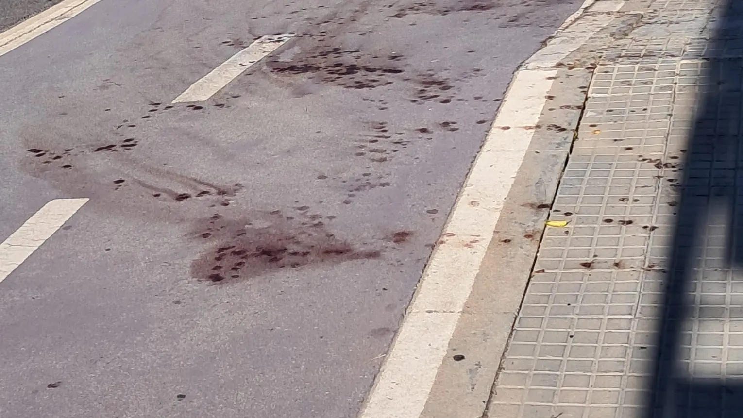 https://immagini.unionesarda.it/version/c:NjE0ODRhZDItZWM3OS00:NGQzZmI3ZjEtMzMzNC00/image.webp?f=16:9