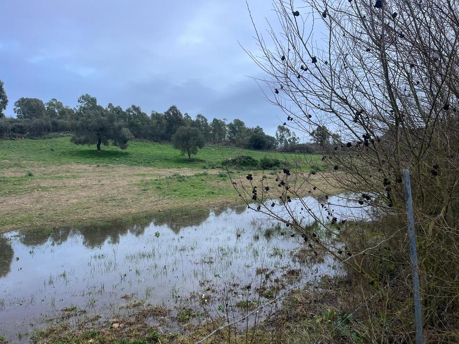 Senorbì, dichiarato lo stato di calamità naturale per Harry