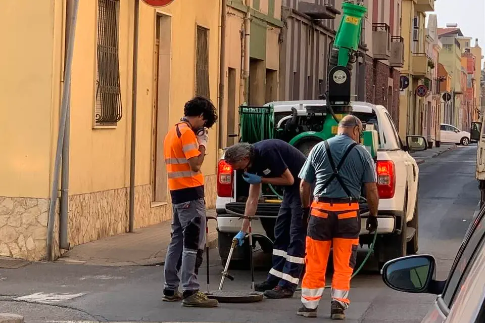 Disinfestazione a Quartu