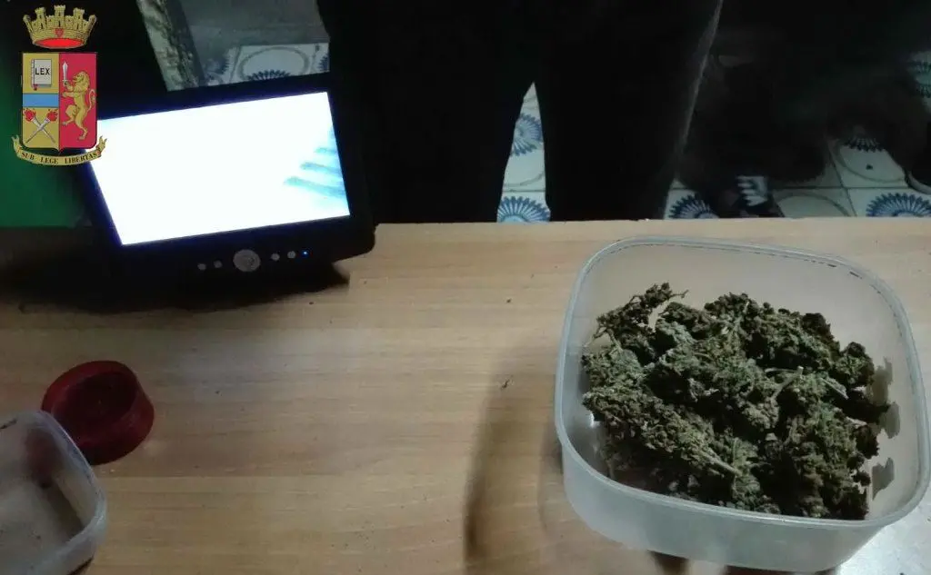Un contenitore con marijuana nella cantina di Boi