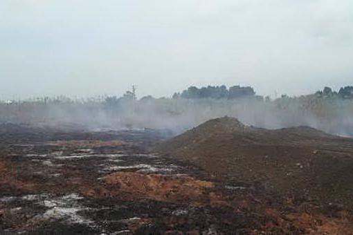 L'area incendiata a Molentargius