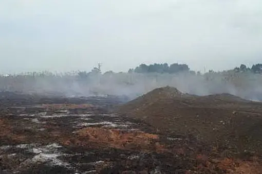 L'area incendiata a Molentargius