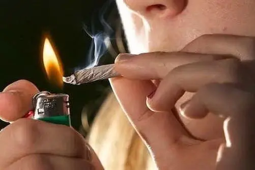 Cannabis (immagine simbolo)